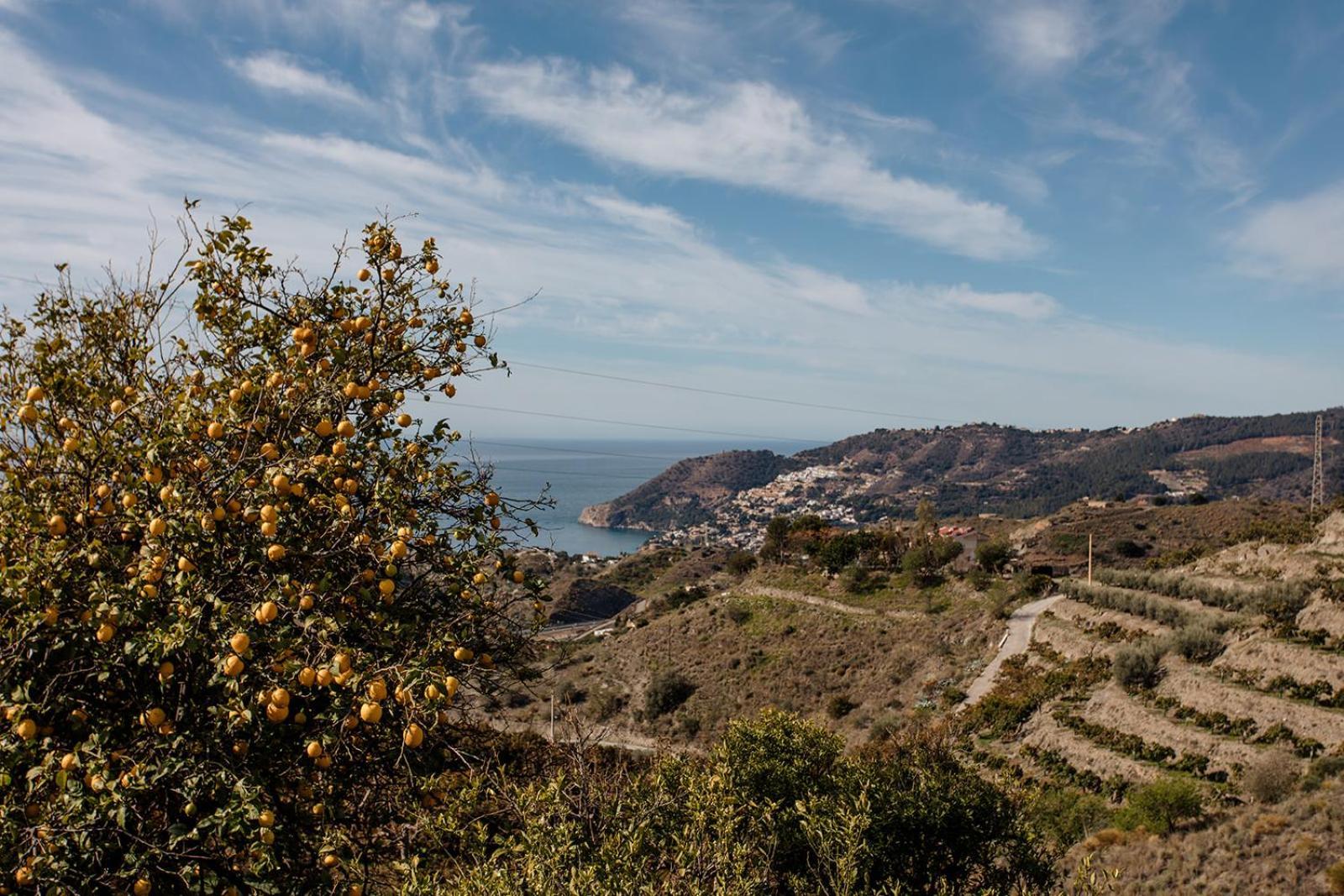 Finca La Herradura Buitenkant foto